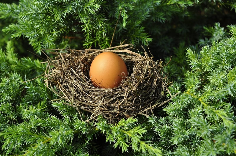 Griffin's Nest Exploration